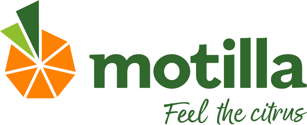 Motilla